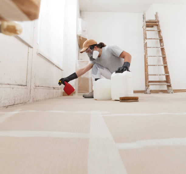 Mold Documentation for Insurance Claims in Covina, CA